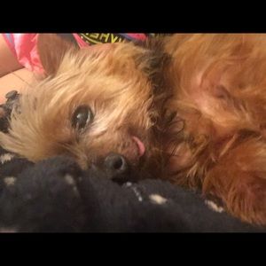 Meet your Posher, Jana